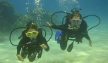 Roatan Diving